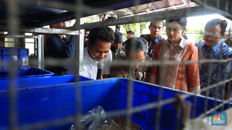 Kepala Eksekutif Pengawas Perilaku Pelaku Usaha Jasa Keuangan, Edukasi dan Pelindungan Konsumen Otoritas Jasa Keuangan (OJK) Friderica Widyasari Dewi meninjau bank sampah pusat pengelolahan sampah organik dapur dengan maggot di kawasan perumahan di Bantar Gebang, Sumur Batu, Bekasi, Jawa Barat, Jumat (14/6/2024). (CNBC Indonesia/Muhammad Sabki) Kepala Eksekutif Pengawas Perilaku Pelaku Usaha Jasa Keuangan, Edukasi dan Pelindungan Konsumen Otoritas Jasa Keuangan (OJK) Friderica Widyasari Dewi meninjau bank sampah pusat pengelolahan sampah organik dapur dengan maggot di kawasan perumahan di Bantar Gebang, Sumur Batu, Bekasi, Jawa Barat, Jumat (14/6/2024). (CNBC Indonesia/Muhammad Sabki)