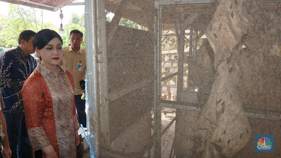 Kepala Eksekutif Pengawas Perilaku Pelaku Usaha Jasa Keuangan, Edukasi dan Pelindungan Konsumen Otoritas Jasa Keuangan (OJK) Friderica Widyasari Dewi meninjau bank sampah pusat pengelolahan sampah organik dapur dengan maggot di kawasan perumahan di Bantar Gebang, Sumur Batu, Bekasi, Jawa Barat, Jumat (14/6/2024). (CNBC Indonesia/Muhammad Sabki)