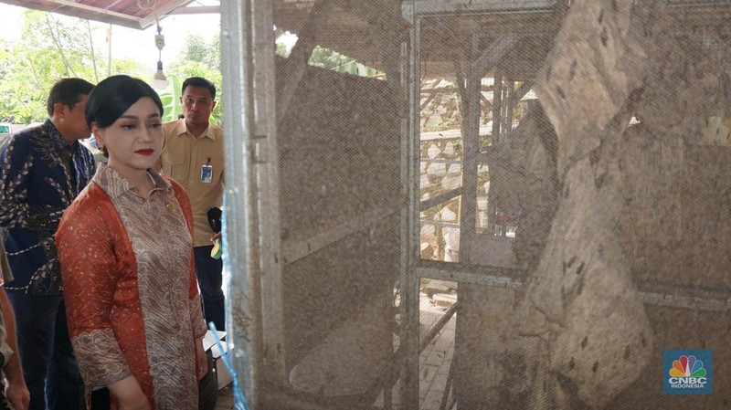 Kepala Eksekutif Pengawas Perilaku Pelaku Usaha Jasa Keuangan, Edukasi dan Pelindungan Konsumen Otoritas Jasa Keuangan (OJK) Friderica Widyasari Dewi meninjau bank sampah pusat pengelolahan sampah organik dapur dengan maggot di kawasan perumahan di Bantar Gebang, Sumur Batu, Bekasi, Jawa Barat, Jumat (14/6/2024). (CNBC Indonesia/Muhammad Sabki)