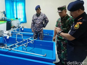 Tim Gabungan Gerebek Rumah Penyimpanan Benih Lobster, Pelaku Berhasil Kabur