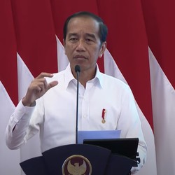 Jokowi Bagi-Bagi 68 Sapi Jumbo ke Seluruh Provinsi RI, IKN Kebagian