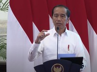 Jokowi Bagi-Bagi 68 Sapi Jumbo ke Seluruh Provinsi RI, IKN Kebagian
