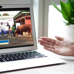 Telkomsel Berbagi Hewan Kurban di Seluruh Indonesia Peringati Iduladha
