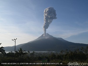 Gunung Lewotobi Erupsi, Bandara Frans Seda Maumere Ditutup Sementara