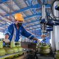 Harga Terbaru LPG 3 Kg, 5,5 Kg & 12 Kg di Pangkalan, Berlaku 14 Maret