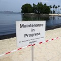 Bahaya! Potret Laut Tetangga RI Menghitam Gegara Tumpahan Minyak