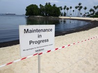 Bahaya! Potret Laut Tetangga RI Menghitam Gegara Tumpahan Minyak