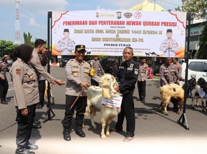 23 Hewan Kurban Disalurkan Polisi ke Ponpes, Masjid hingga Ormas di Tuban