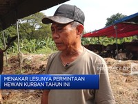 Video: Amankan Pasokan Hewan Kurban Di Hari Raya Iduladha 1445 H