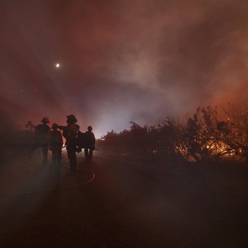 Langit AS Jadi Merah, Ribuan Hektare Hutan California Terbakar