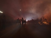 Langit AS Jadi Merah, Ribuan Hektare Hutan California Terbakar