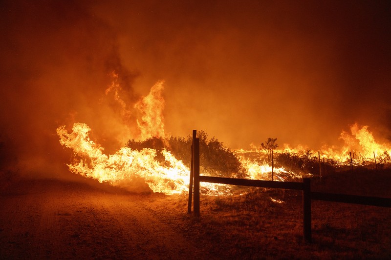 Firefighters work against the advancing Post Fire on Sunday, June 16, 2024, in Gorman, Calif. (AP Photo/Eric Thayer)