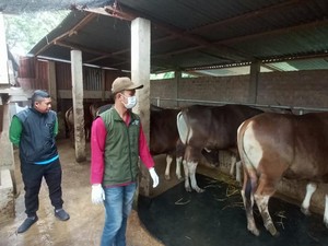 Dispertan Lubuklinggau Imbau Warga untuk Tidak Buang Limbah Kurban di Sungai