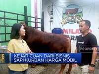 Video: Bukan Kaleng-kaleng! Begini Cara Sukses Bisnis Hewan Kurban