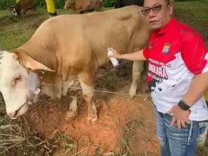 Idul Adha, Kapolda Kepri Kurban 34 Sapi