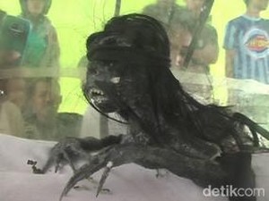 Kemunculan Buncul yang Gegerkan Warga Cirebon