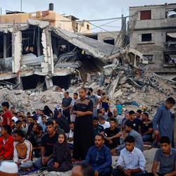 Deretan Lembaga Zakat yang Menyalurkan Kurban Hingga Palestina