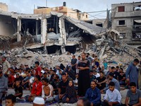 Deretan Lembaga Zakat yang Menyalurkan Kurban Hingga Palestina