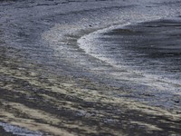 Potret Pantai Sentosa Singapura Hitam Pekat Akibat Minyak Tumpah