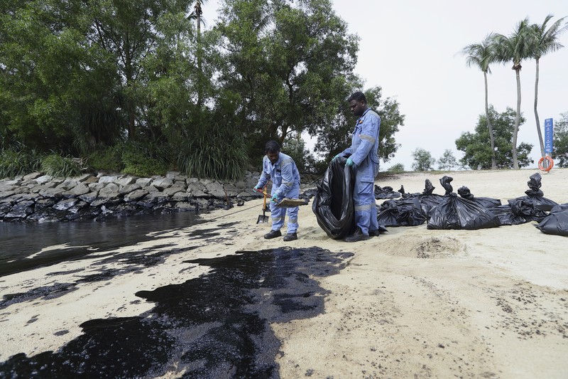 Singapore Oil Spill A general view of oil spill along Sentosa's Tanjong Beach area in Singapore, Sunday, June 16, 2024. (AP Photo/Suhaimi Abdullah)
