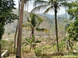 Desa Ini Terdiri dari Kelompok, Bukan Pedukuhan atau Dusun
