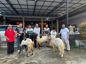 Warga Pakel Banyuwangi Terima 3 Ekor Kambing Kurban