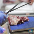 Siapa Saja yang Berhak Menerima Daging Kurban? Ini Penjelasannya