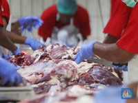 Cara Menyimpan Daging Kurban di Kulkas, Dicuci Atau Tidak?