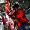 Intip Proses Penyembelihan Sapi Kurban di RPH Jakarta
