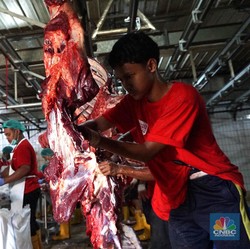 Mudah! Ini Cara Olah Daging Kambing Agar Tak Bikin Kolesterol Ngamuk