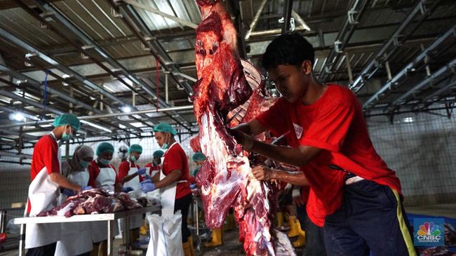 Mudah! Ini Cara Olah Daging Kambing Agar Tak Bikin Kolesterol Ngamuk