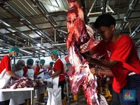 Mudah! Ini Cara Olah Daging Kambing Agar Tak Bikin Kolesterol Ngamuk