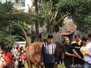 Anies Sembelih Sendiri Sapi Kurban Miliknya di Masjid Babul Khoirot Jaksel