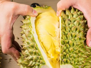 Durian Mengandung Alkohol Tinggi tapi Halal, Ini Penjelasannya