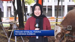 Video: Iduladha 2024, Masjid Istiqlal Terima 62 Hewan Kurban