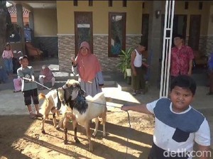 Cerita Bocah Kelas 2 SD di Bangkalan Berkurban Kambing Hasil Nabung Setahun