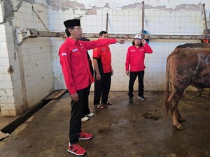 Gotong Royong 3 Pilar, PDIP Surabaya Kurban 15 Sapi