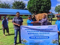 Idul Adha 1445 H, Pelindo Petikemas Salurkan 215 Hewan Kurban