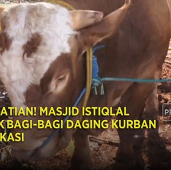 Perhatian! Masjid Istiqlal Tidak Bagi-Bagi Daging Kurban di Lokasi