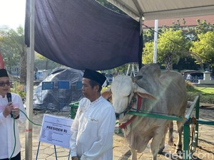Pj Gubernur Jatim Serahkan Sapi Kurban Jokowi ke Masjid Al-Akbar Surabaya