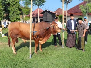 Polres Jombang Salurkan 26 Hewan Kurban ke Pesantren hingga Panti Asuhan