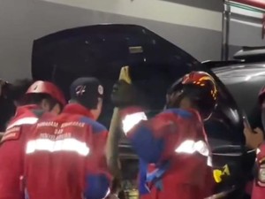 Ular Piton Masuk Kap Mesin Mobil Pengunjung Mal di Makassar, Damkar Evakuasi