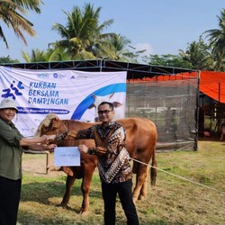 Mantap! Danone Indonesia Berbagi 373 Hewan Kurban ke Berbagai Wilayah