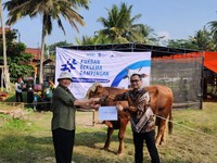 Mantap! Danone Indonesia Berbagi 373 Hewan Kurban ke Berbagai Wilayah