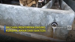 Ini Cara Menyimpan Daging Kurban, Aman dari Bakteri