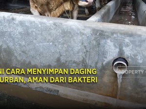 Ini Cara Menyimpan Daging Kurban, Aman dari Bakteri