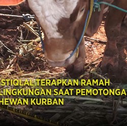 Istiqlal Terapkan Ramah Lingkungan Saat Pemotongan Hewan Kurban