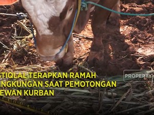 Istiqlal Terapkan Ramah Lingkungan Saat Pemotongan Hewan Kurban