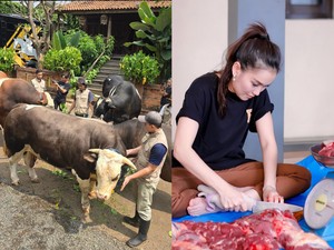 Keren! 5 Artis Ini Beli Hewan Kurban Sapi dan Kambing Lebih dari Satu