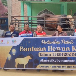 Berbagi di Hari Raya Idul Adha, Pertamina Salurkan 4.493 Hewan Kurban